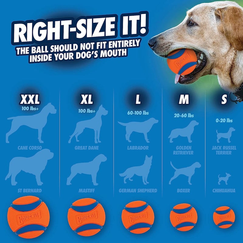 Chuckit! Ultra Tug Dog Toy, Small Fetch and Dog Ball Tug Toy for Dogs 0-20 Pounds - Image 5